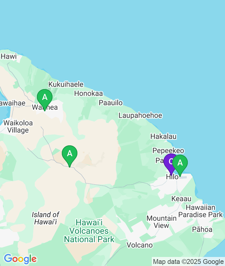 Hilo Available Airport Options